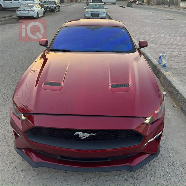 Ford for sale in Iraq